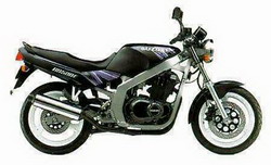 Suzuki GS 500E 1989